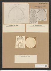 Campylodiscus ralfsii W. Sm. (de-Toni-Nr.: Genus 57, Species 2444) Zeichnungen Sammlung Grunow Nr. 4909 (NHMW-BOT-W0373112)
